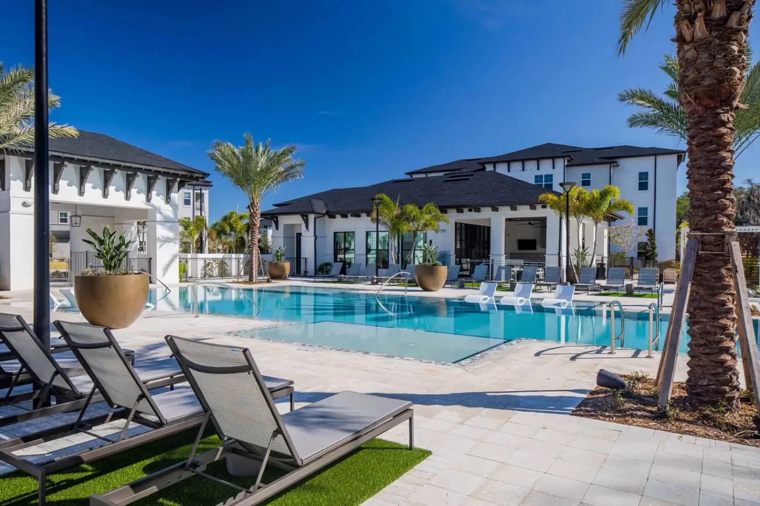 Commercial pool deck with loungers and palm trees